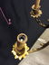 Vintage 5 Arm Victorian Bronze Ceiling Chandelier - 6
