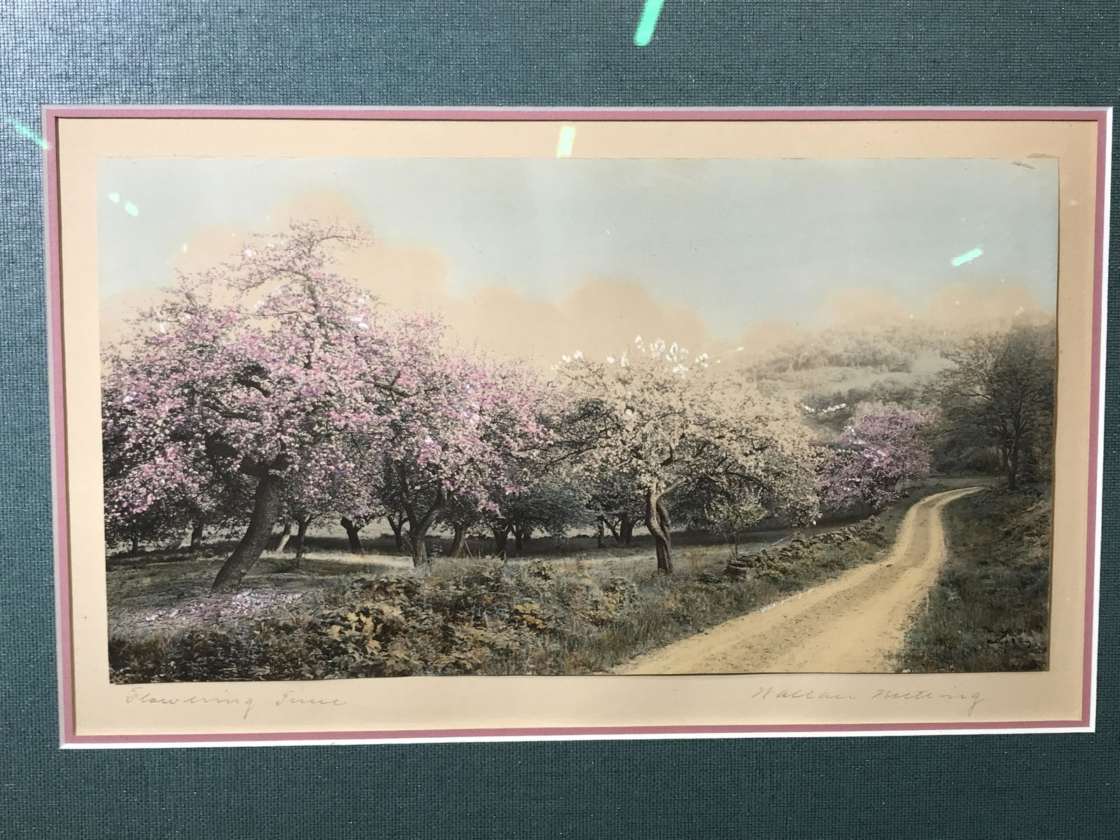 Signed & Titled Print Wallace Nutting: Signed and titled print, signed in the lower right corner Wallace Nutting, titled in the lower left corner reads ‘Flowering Line’, subject dirt road lined with blossoming trees with rolling hills