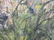 Oil on Linen Canvas Painting Dietrich Grunewald - 3