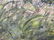 Oil on Linen Canvas Painting Dietrich Grunewald - 5