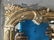 Oversized Vintage Painted Carved Wood Mirror - 7
