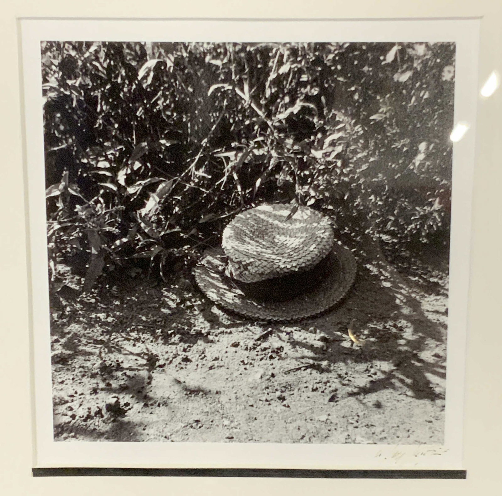 Signed N Jay Jaffee Framed Photograph: N Jay Jaffee signed black and white, Polaroid depicting a garden path with a straw hat that has been tossed aside, reverse has information about the artist and the print, matted in white with black ed