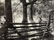 Signed N Jay Jaffee Signed Photograph - 5