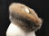 Red- Brown w/ Black Fox Fur Neck Collar Scarf - 2