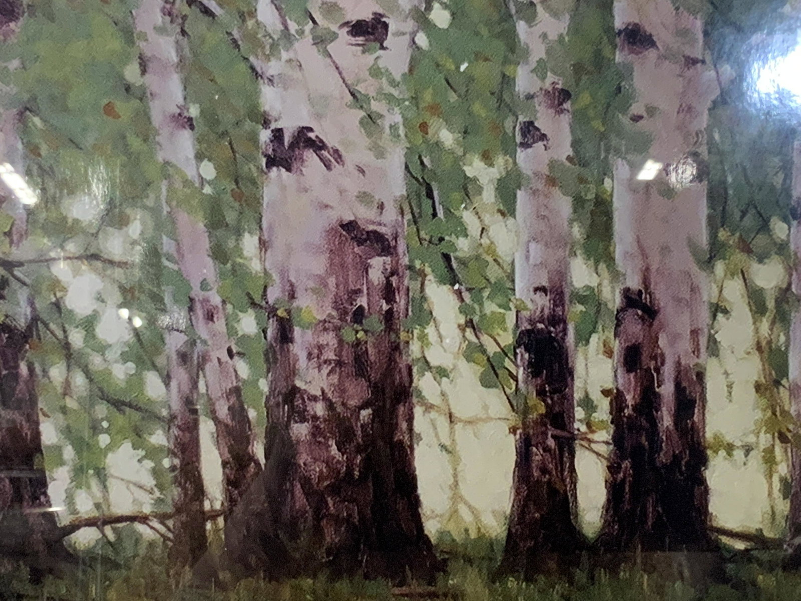 Framed Digital Print of Birch Trees: Framed Digital Print of Birch Trees, digital print of an oil painting, the grass in the foreground has strong painters hand in each blade of grass, and you see that hand again in the bottoms of the tr