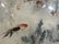 Chinese Style Coy Fish Painting