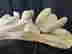item-87548978=12