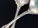 Pair Sterling Embossed Victorian Nouveau Spoons - 5