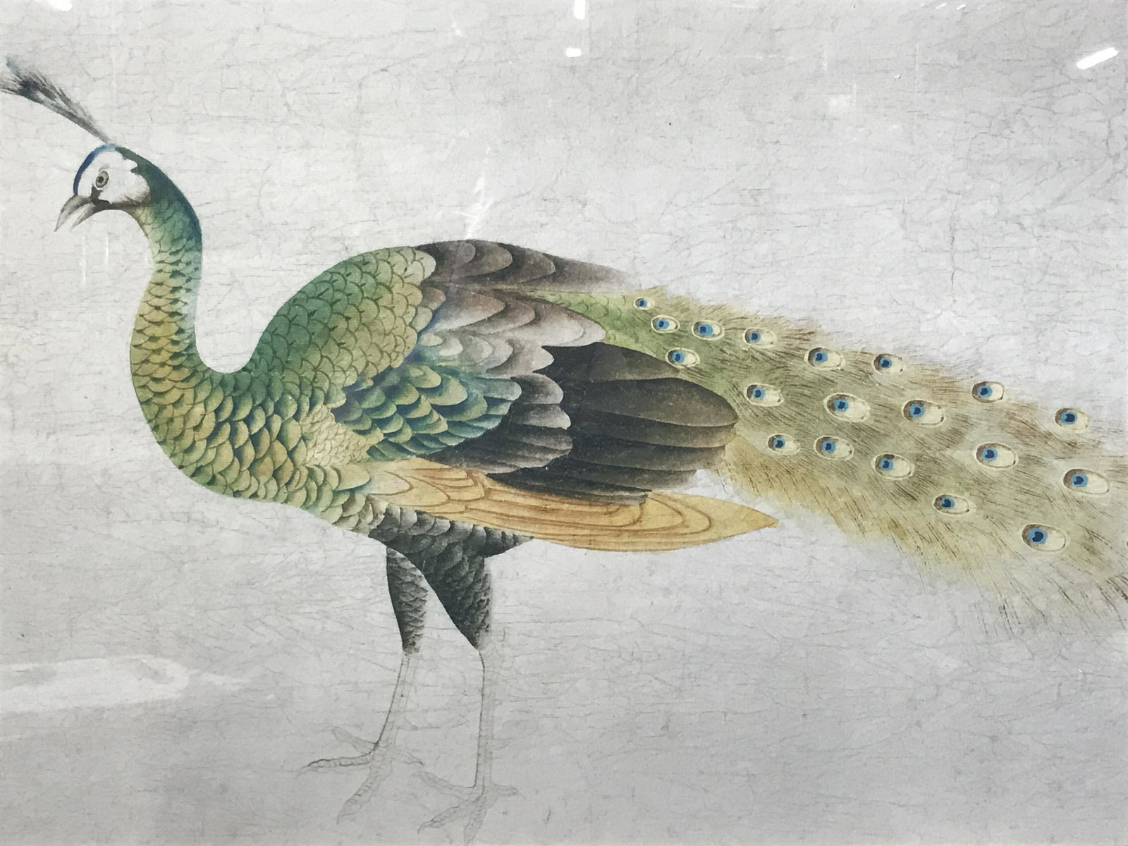 Gold Leaf Framed Asian Watercolor Peacock: Gold leaf framed Asian watercolor, subject a peacock with plume tucked away, no matting, ornately framed in a wide 22k gold leaf wooden frame with felt backing, some minor scratches to frame, not insp