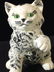 Hand Made & Painted Green Eyed Ceramic Cat