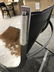 MCM Custom Animal Hide Sling Chair - 11