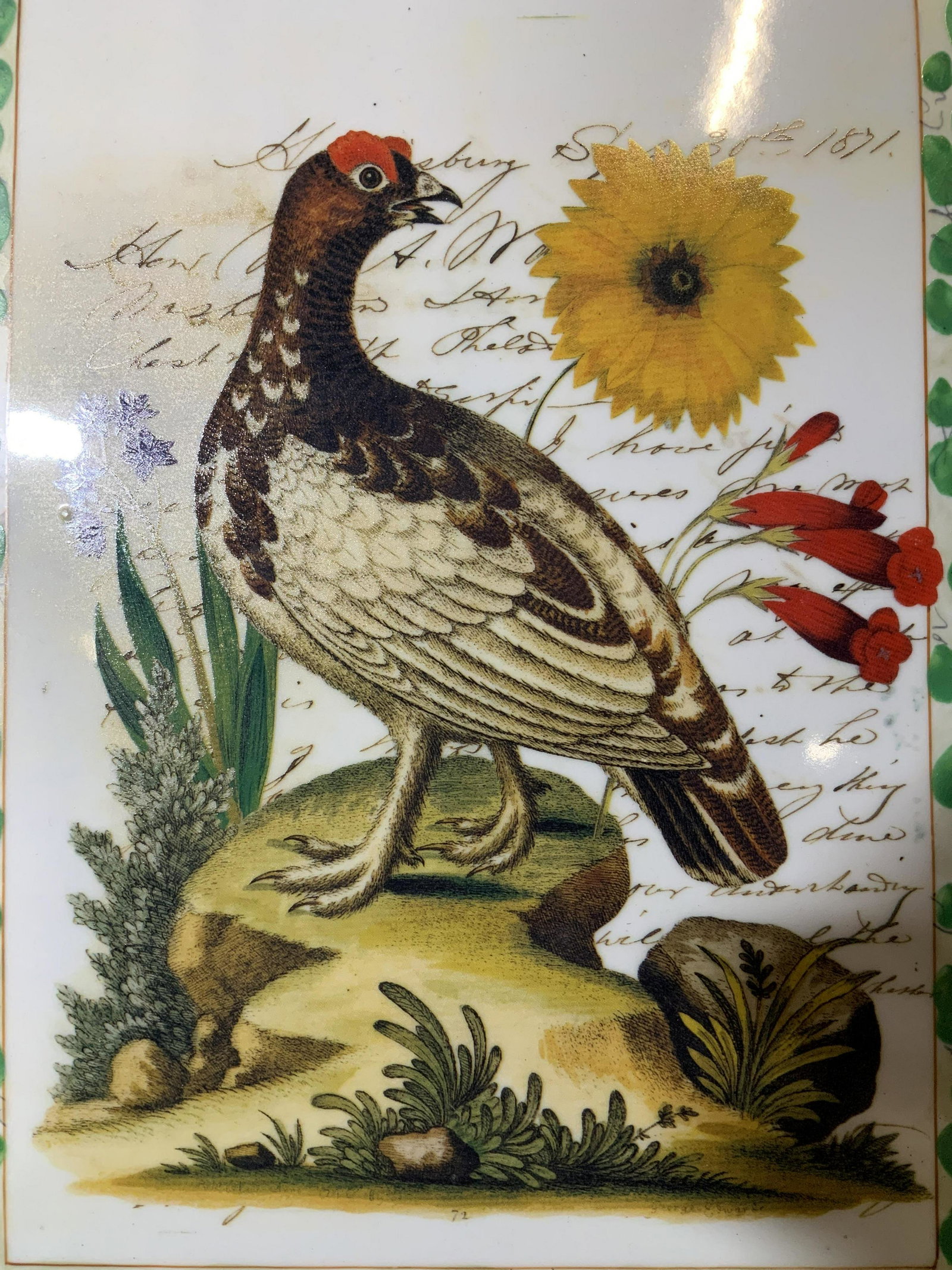 John Derian Hand Painted Spruce Grouse Tile: John Derian hand painted spruce grouse ceramic tile, 1 of set of 4 being auctioned, After the biological illustrations of George Edwards, inscriptions written in cursive, inscription to reverse reads 