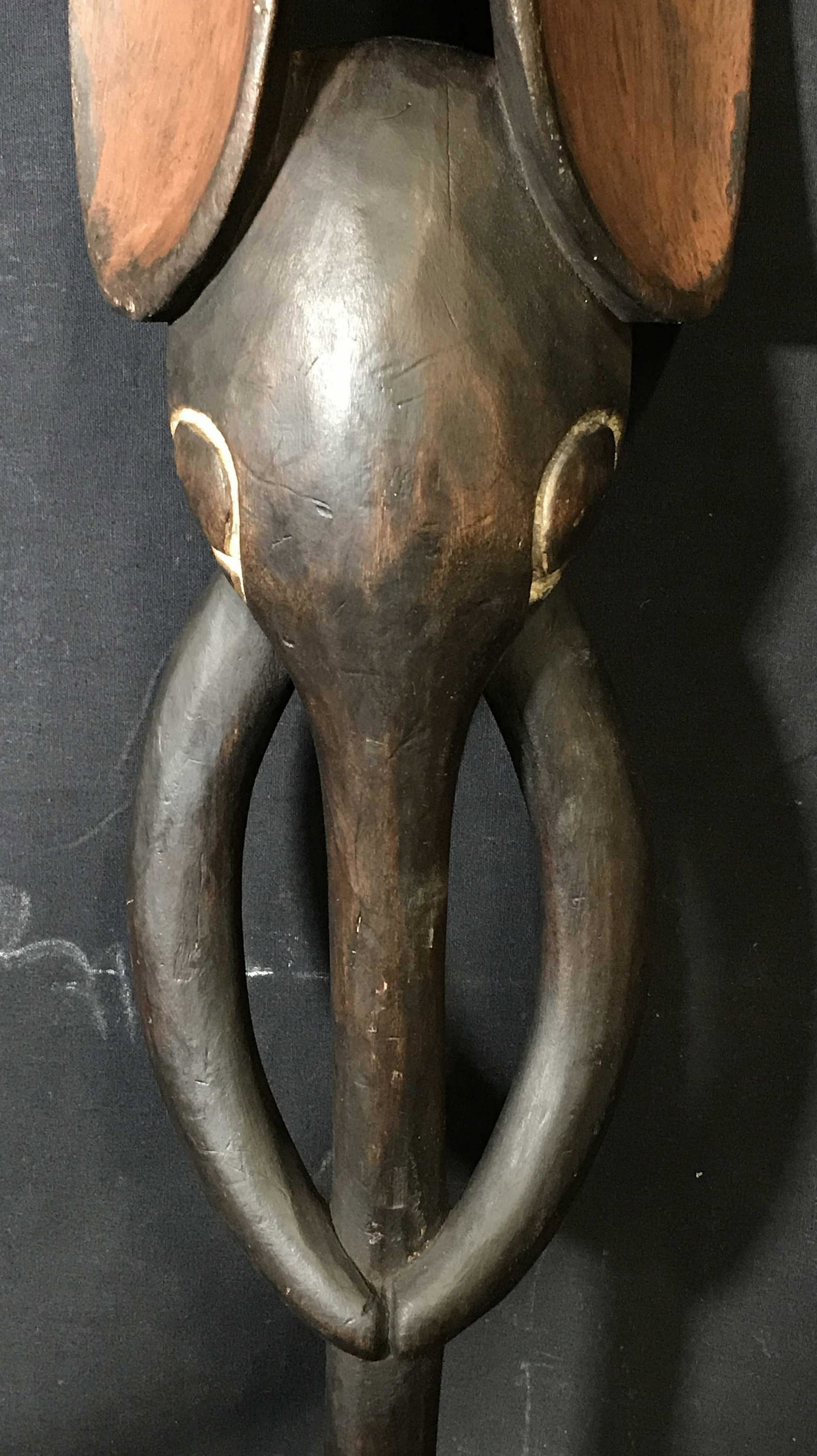Cameroonian Bamileke Elephant Mask: Cameroonian Bamileke elephant mask, origins in Western Cameroon Central Africa, cut from one block of wood, stained with a red pigment and dark brown patina, elephant design, measures 28.5 inches at t