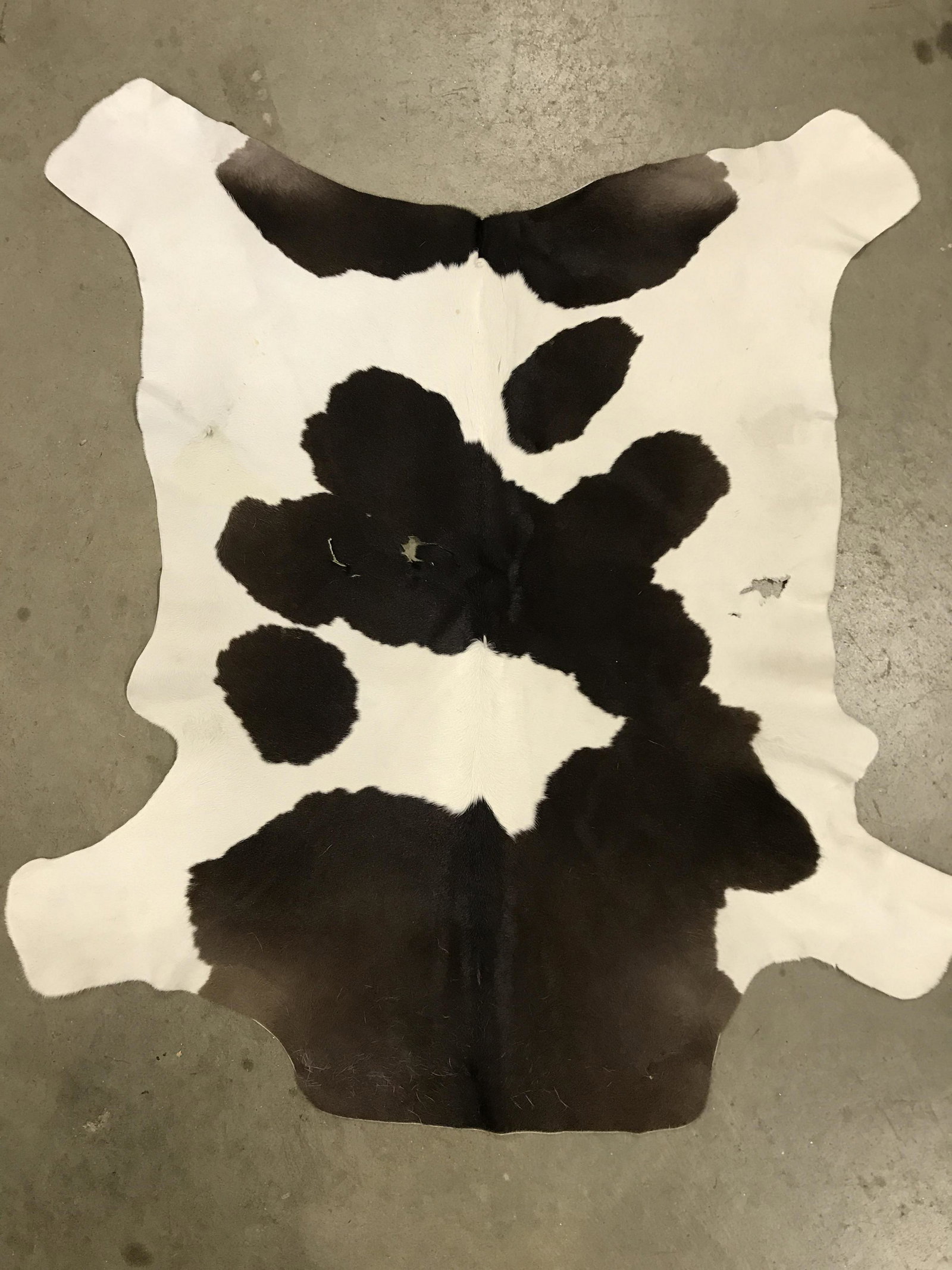 Vintage Animal Hide Rug: Vintage rug, crafted from leather. Wear is consistent with age and use, some moisture damage. Measures approx 39 inches long and 35 inches W. Leather, hide, skins, vintage leather, vintage decor, vint