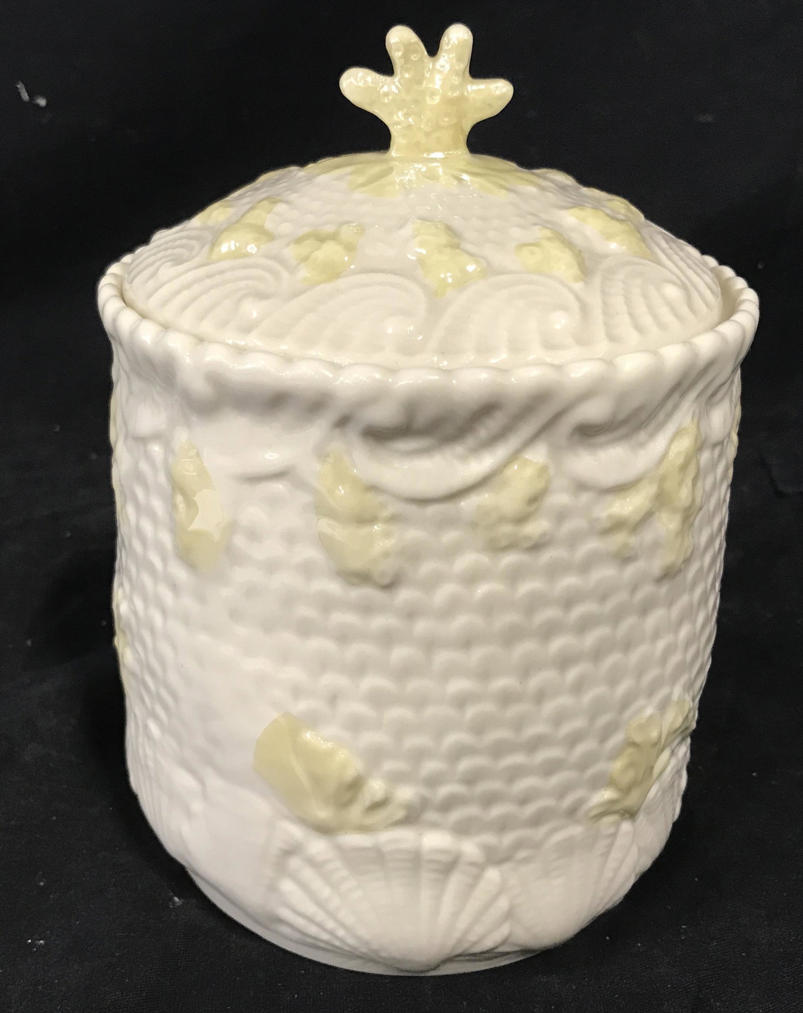 Seashell Themed Porcelain Lidded Jar: Seashell themed porcelain lidded jar, exterior of jar is a tan white with shell and coral designs, underside of jar has illegible stamp that possibly reads ‘Ireland’, measures 5.5 inches tall and 