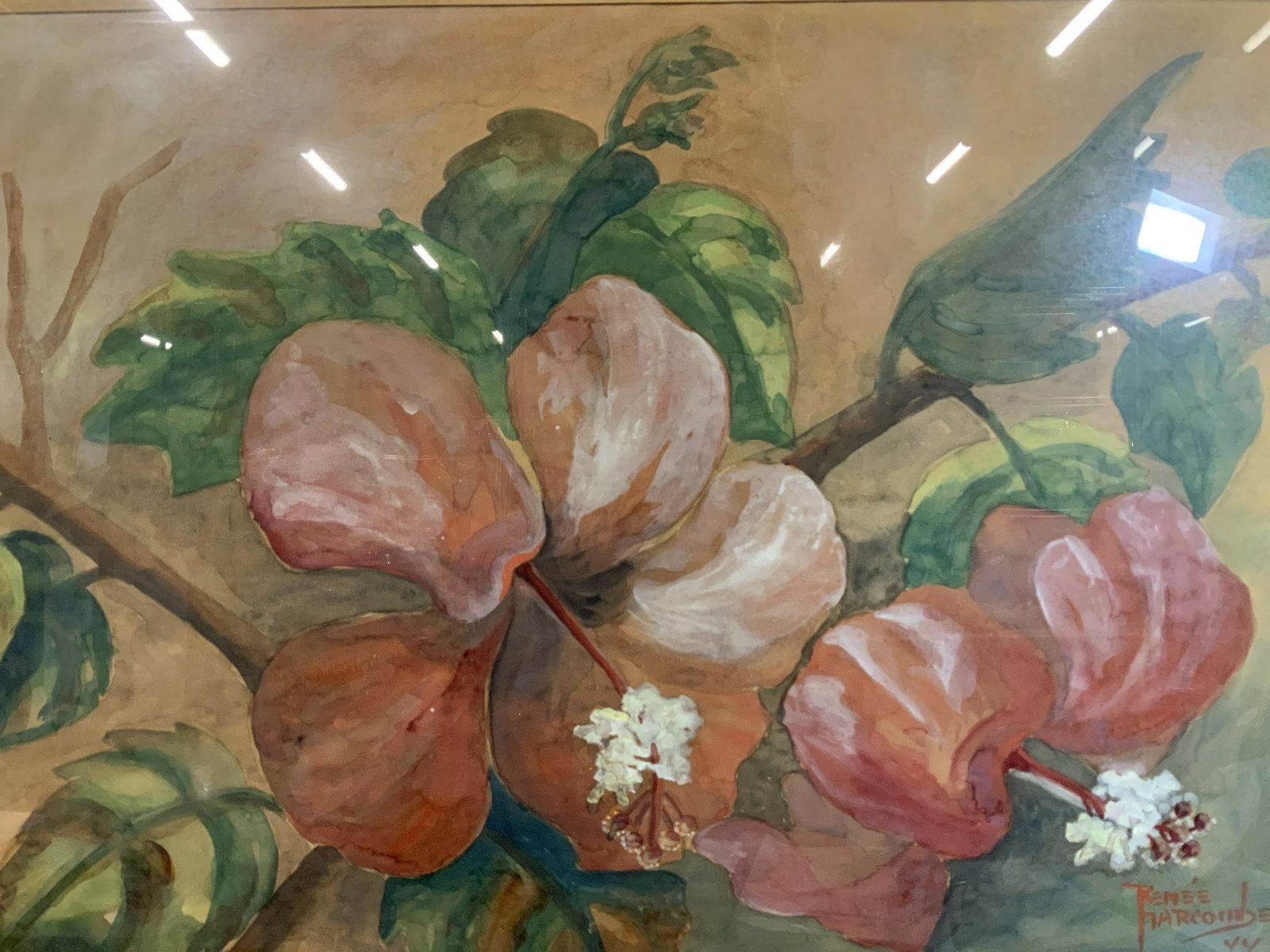 Renee Harcombe Signed Flower Watercolor Painting: Renee Harcombe Signed Flower Watercolor, signature to lower right reads ‘Renee Harcombe 44’, subject closeup of hibiscus flowers, measures 33 1/4 x 43 1/8 inches, wooden frame, frame has some chip