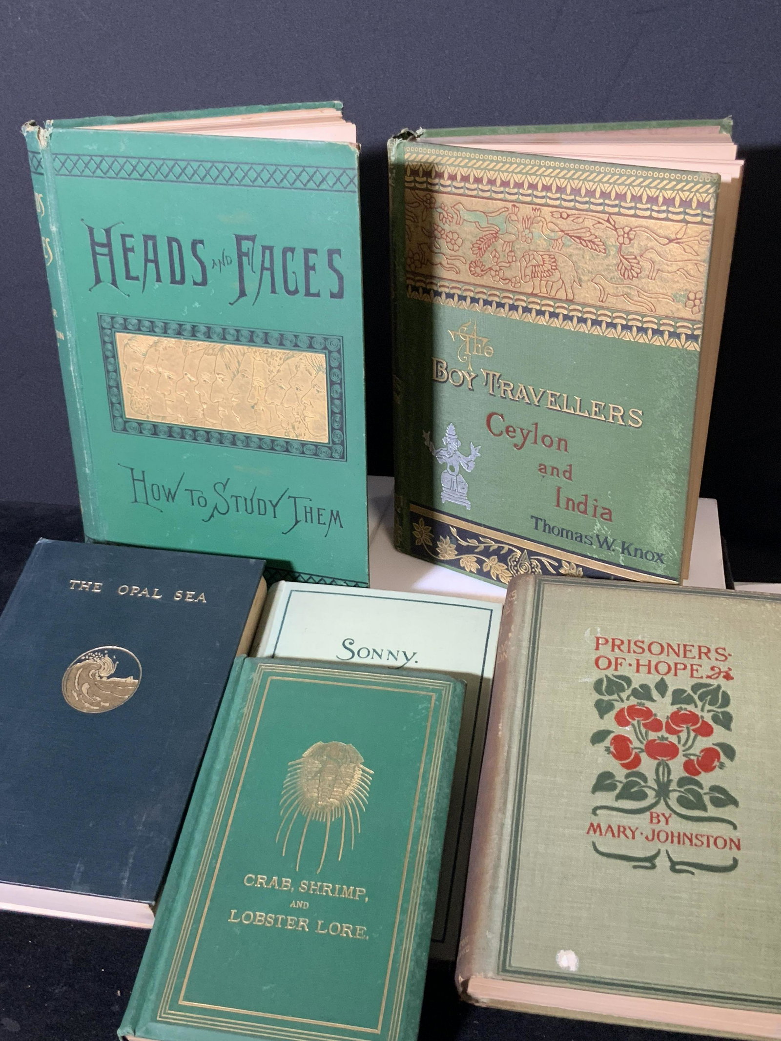 Lot 6 Antique Books, Novels & Illustration: 6 antique hard cover books that include novels and illustration. Titles include: Heads and Face - How to Study Them, The Opal Sea, Sonny, & more. Books in antique condition, some pages detached from s