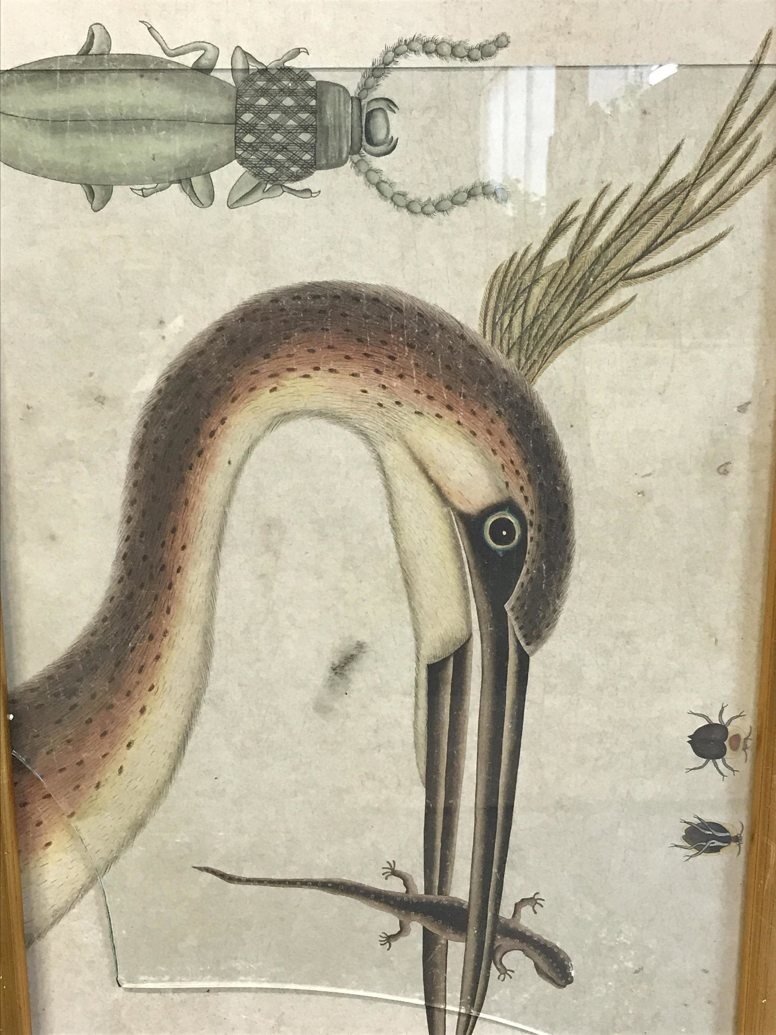 Chinese Woodblock of Bird, Lizard & Beetles: Chinese Woodblock Of Bird lizard and beetles, no apparent signature, subject a bird with a lizard in its mouth and various sized beetles around it, broken glass to piece, gilt wood frame, some scuffs 