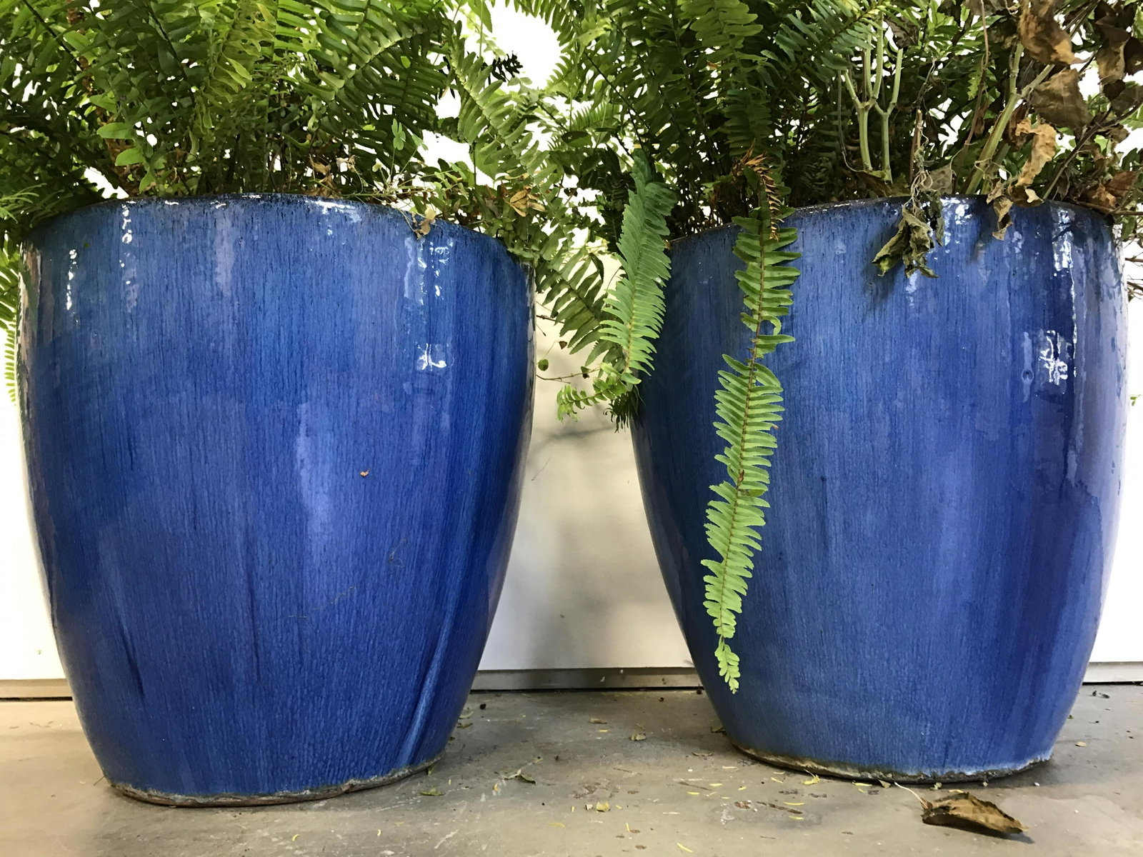 Pair Caribbean Blue Ceramic Planters: Planters are ceramic each with Caribbean blue tones. Each are possibly CAMPANIA. PLANTERS each have circular rim. Planters have glazed finishes. Planters, pair of planters, ceramic planters, garden ac