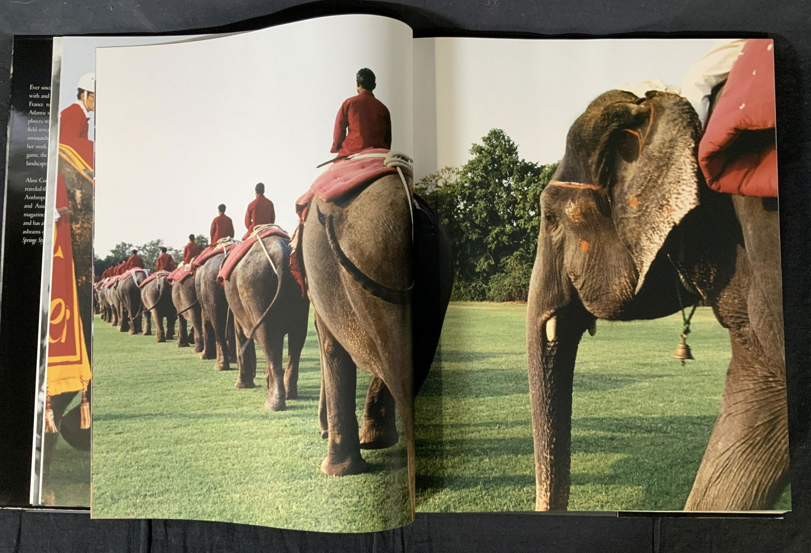 Polo The Nomadic Tribe Coffee Table Book: Polo The Nomadic Tribe Coffee Table Book, inscription to cover reads ‘Polo The Nomadic Tribe Aline Coquelle Assouline’, measures 16 3/4 x 13 1/2 inches, in good condition, Polo, Equestrian, coffee