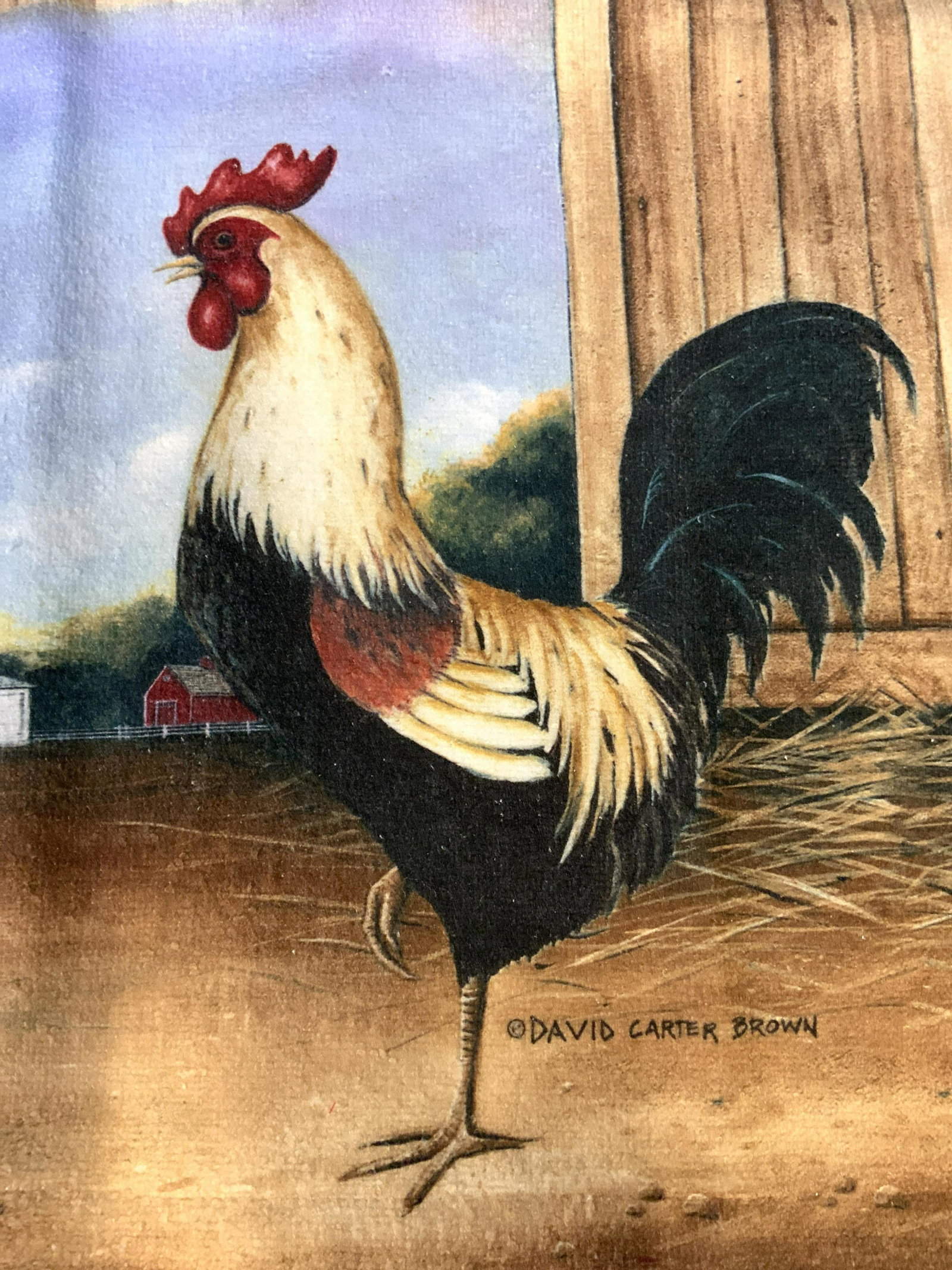 DAVID CARTER BROWN ROOSTER Kitchen Towel: Collectible looped cotton/ poly Towel, copyright David Carter Brown signed under rooster. Mirror image of rooster in Barn with other barn buildings in distance. 26 x 15.5 in. Appears seldom used. Coll