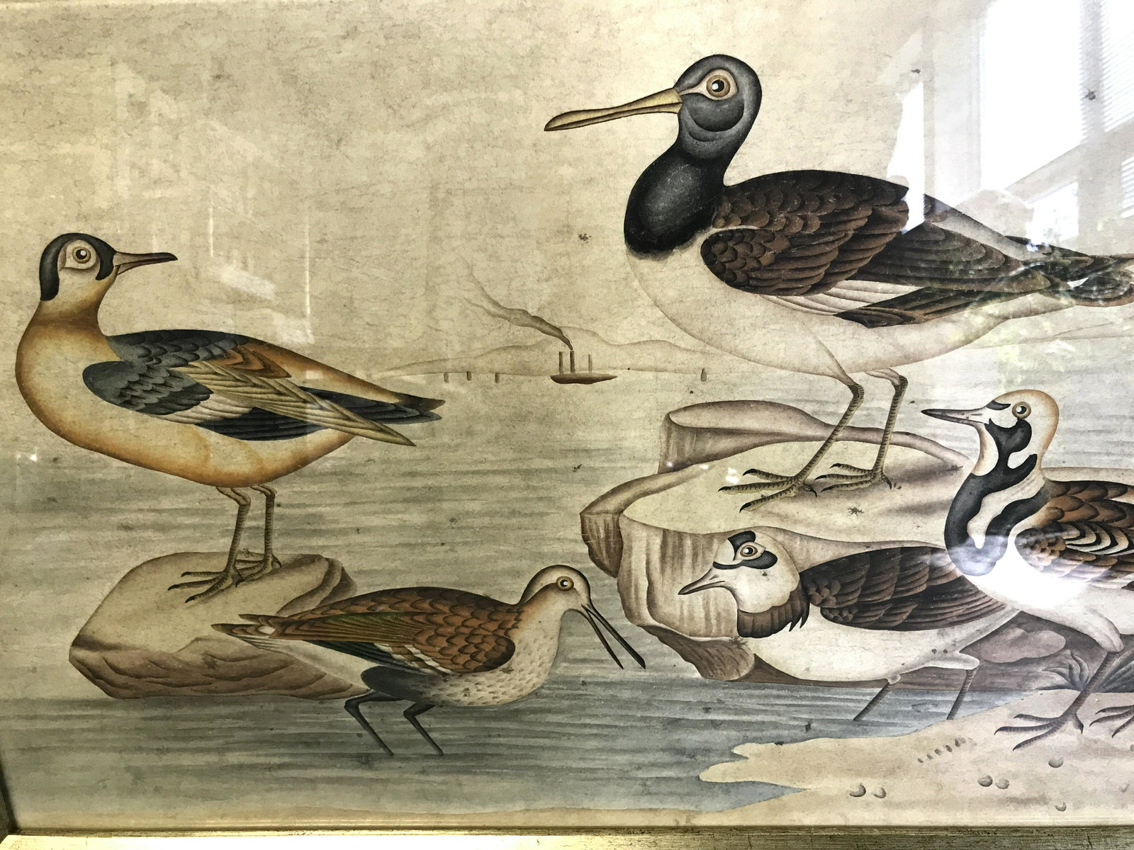 Signed Chinese Painting Seagulls: Chinese Hand colored seagulls, red Chinese stamp to lower right corner, subject a group of seagulls in water, gold painted wooden frame, measures 31.25 inches wide and 19.5 inches tall, not examined o