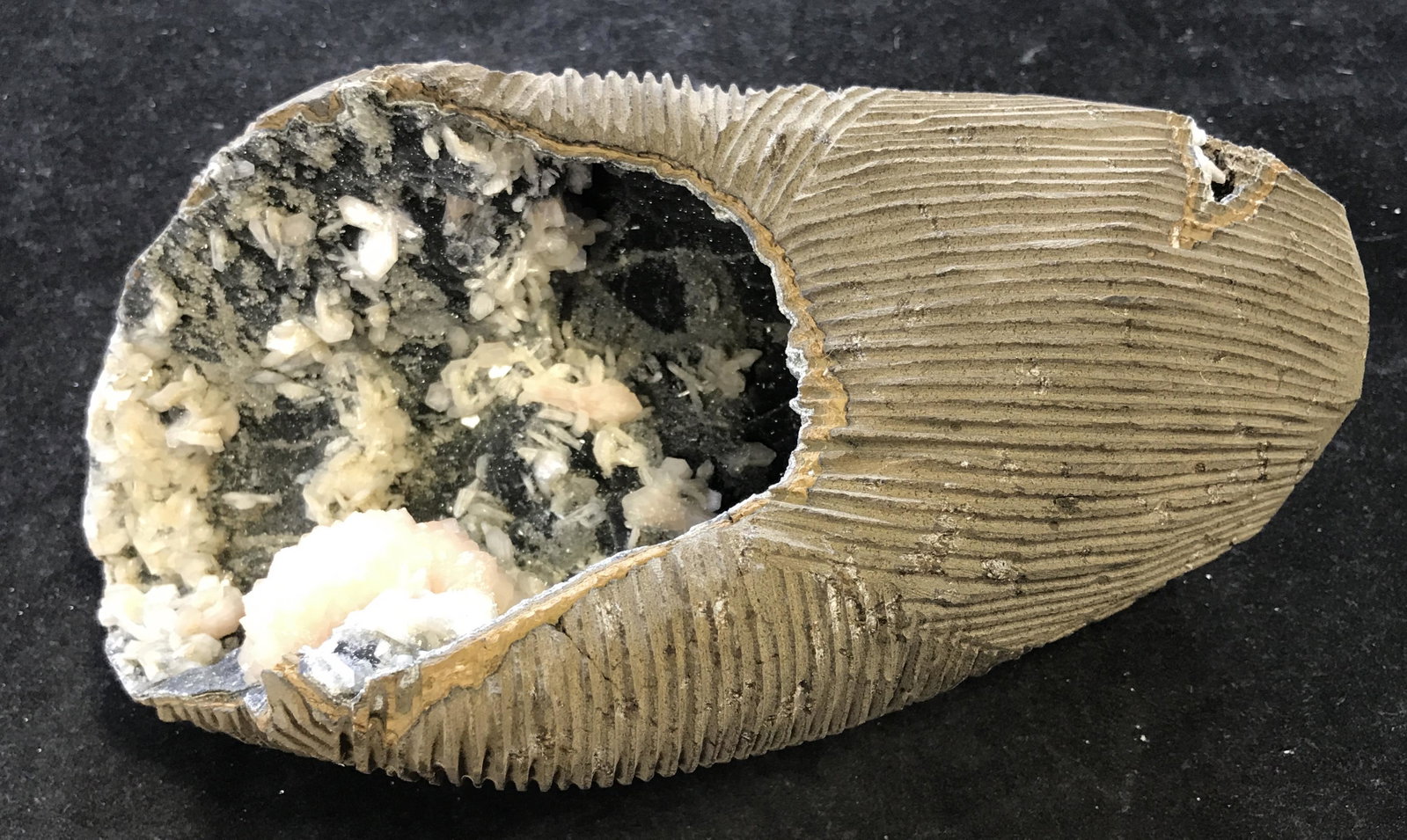 Peruvian Mined Stilbite on Quartz Geode: Peruvian Mined Stilbite on Quartz Geode, unique in its own shape and size, a pale pink colored stone growing on a black druzy quartz geode, measures 4.25 inches at tallest and 9 inches at widest, Peru