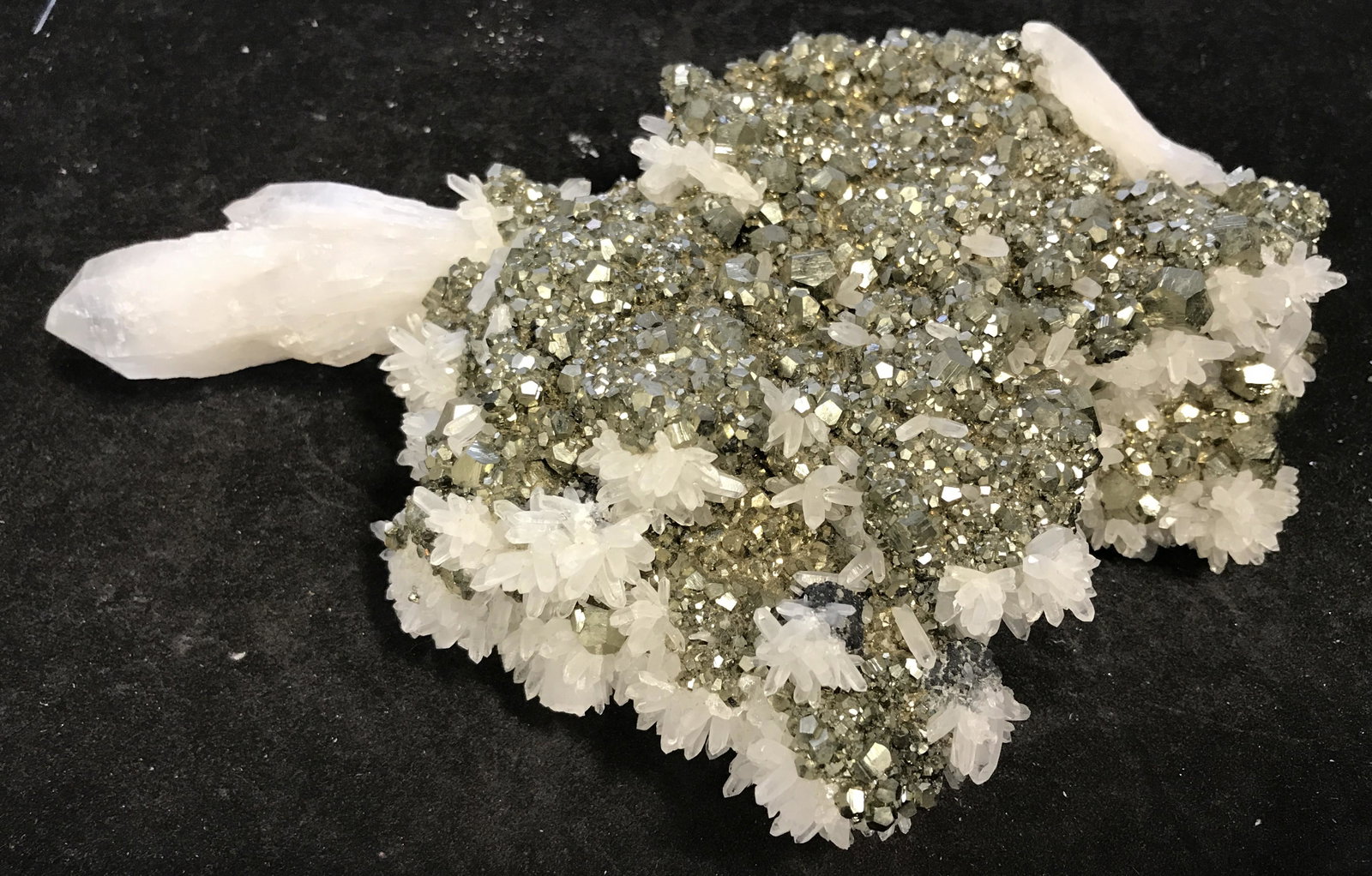 Peruvian Mined Quartz & Pyrite Crystal Cluster: Peruvian mined Quartz and Pyrite Crystal Cluster, unique in its own shape and size, a metallic black and gold colored gem with pale pink and white stones sprouting from its facets, measures 2 inches a
