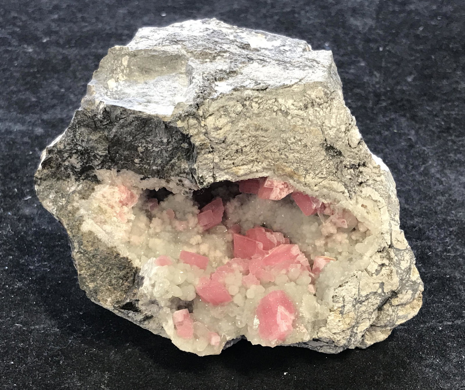 New Mexico Mined Rhodonite Geode: New Mexico Mined Rhodonite geode, mined in Santa Rita, unique in its own shape and size, a pale pink colored stones with clear crystals sprouting around them encapsulated in a grey sedimentary stone, 