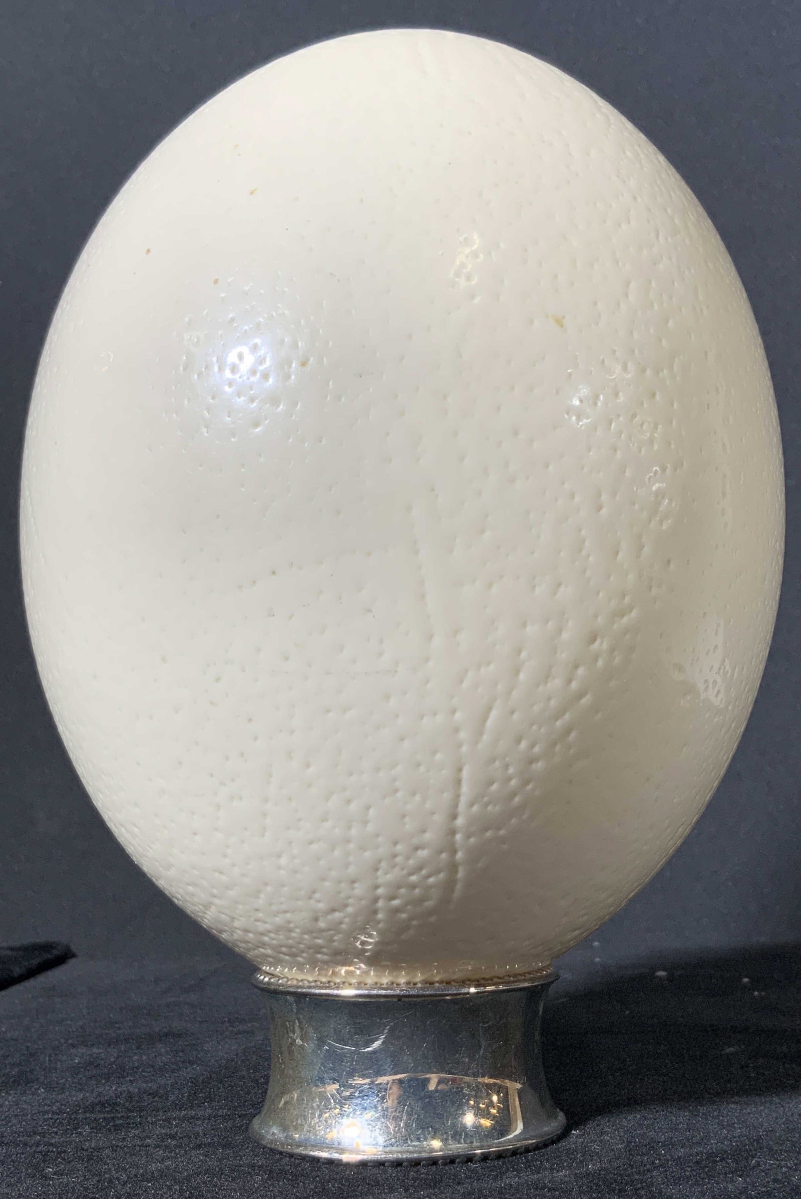 Glazed Ostrich Egg On Silver Plated Stand: Two piece set. An ostrich egg that has been hollowed out and glazed. It is perched atop a decorative silver plated ring stand. Hole on underside was made to extract egg yolk and white. Approx. Height 