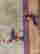item-92310636=6