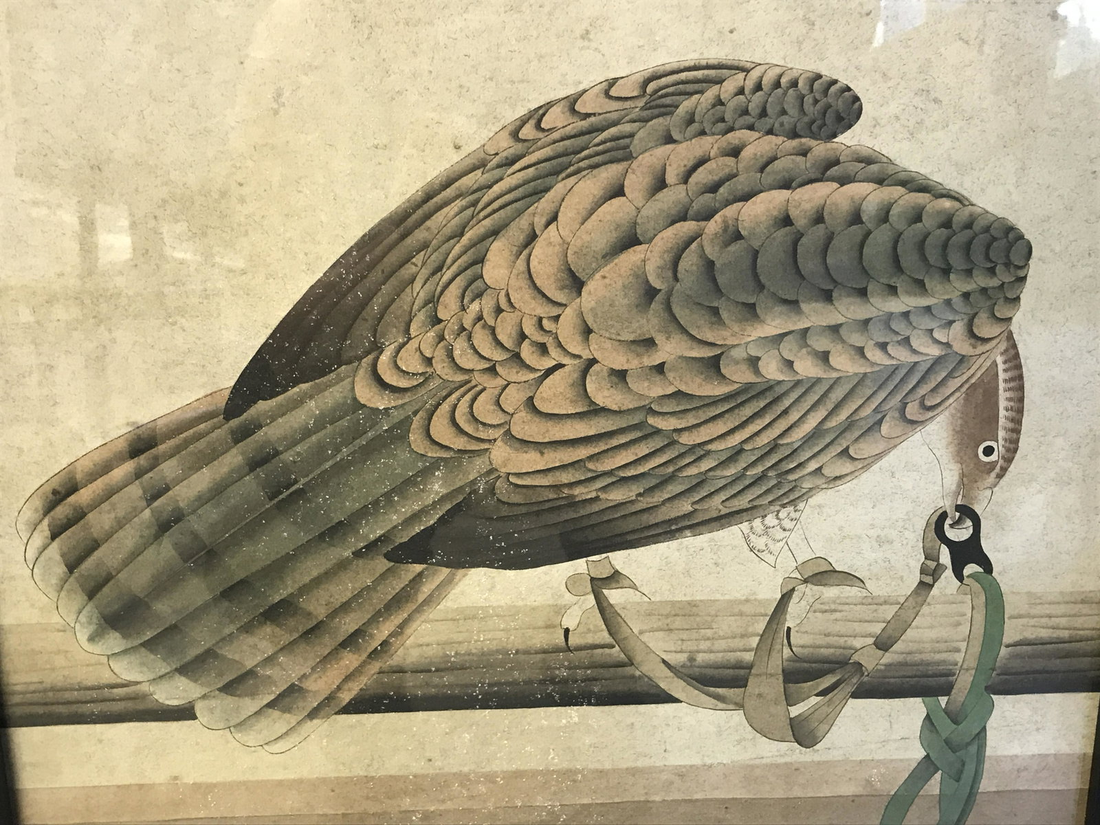 Signed Chinese Hand Painted Bird Artwork: Chinese Hand Painted Bird, red Chinese characters stamp to lower left section, subject a bird of prey perching on a pole pecking at ropes that bind it, matte black wooden frame, measures 36.5 inches t
