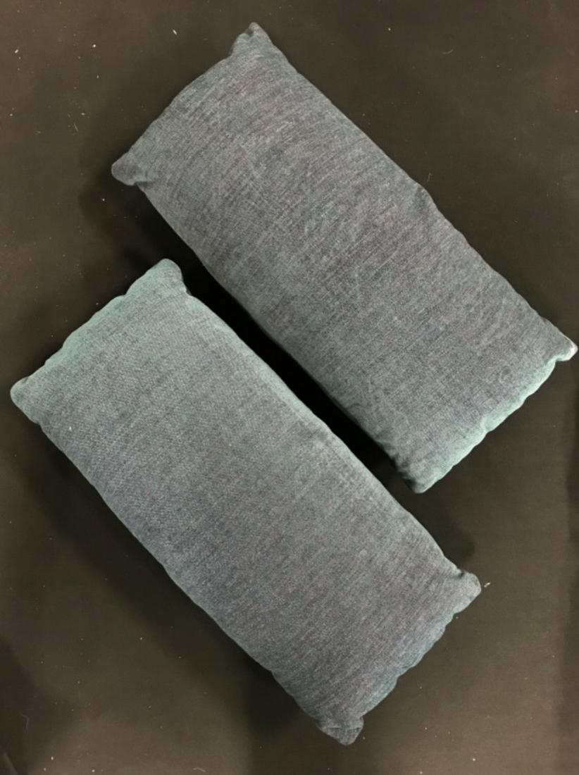 Pair Teal Toned Throw Pillows: Pair of teal toned throw pillows. Each measures approx 20 inches long, 9.5 inches W. Proceeds will be donated to DIFFA in NYC. Pillows, throw pillows, pair of pillows, home decor, living room decor. 6
