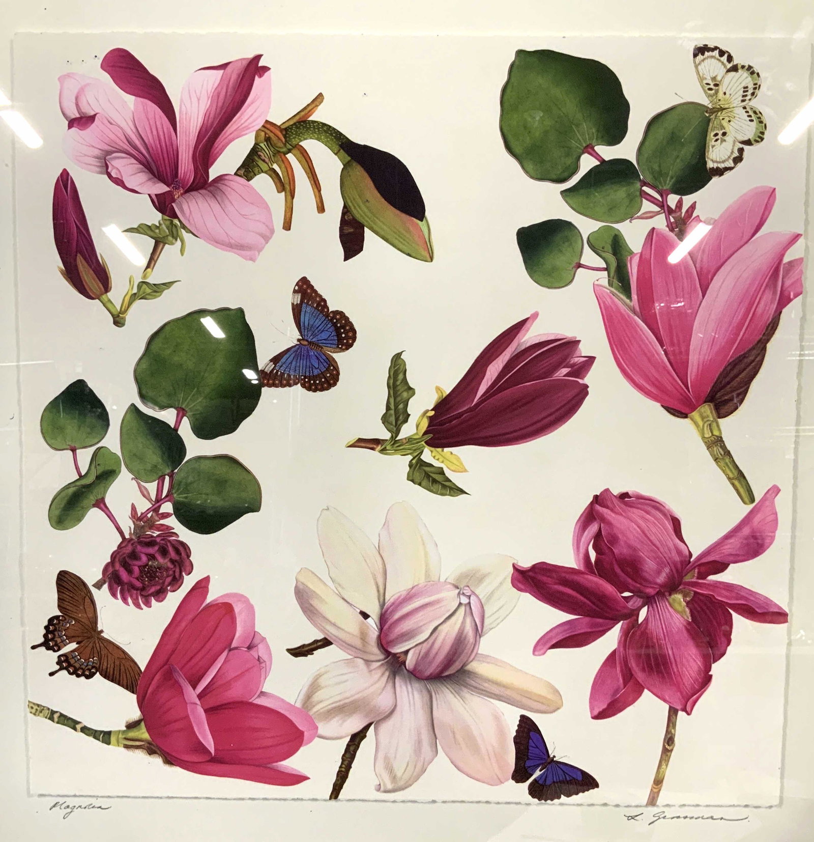 Signed Magnolia Lithograph Artwork: Signed Magnolia Lithograph, signature to lower right illegible, inscription to lower left reads ‘Magnolia’, label to reverse reads ‘Ox Box Decor A fresh twist on the vintage botanical’, subjec