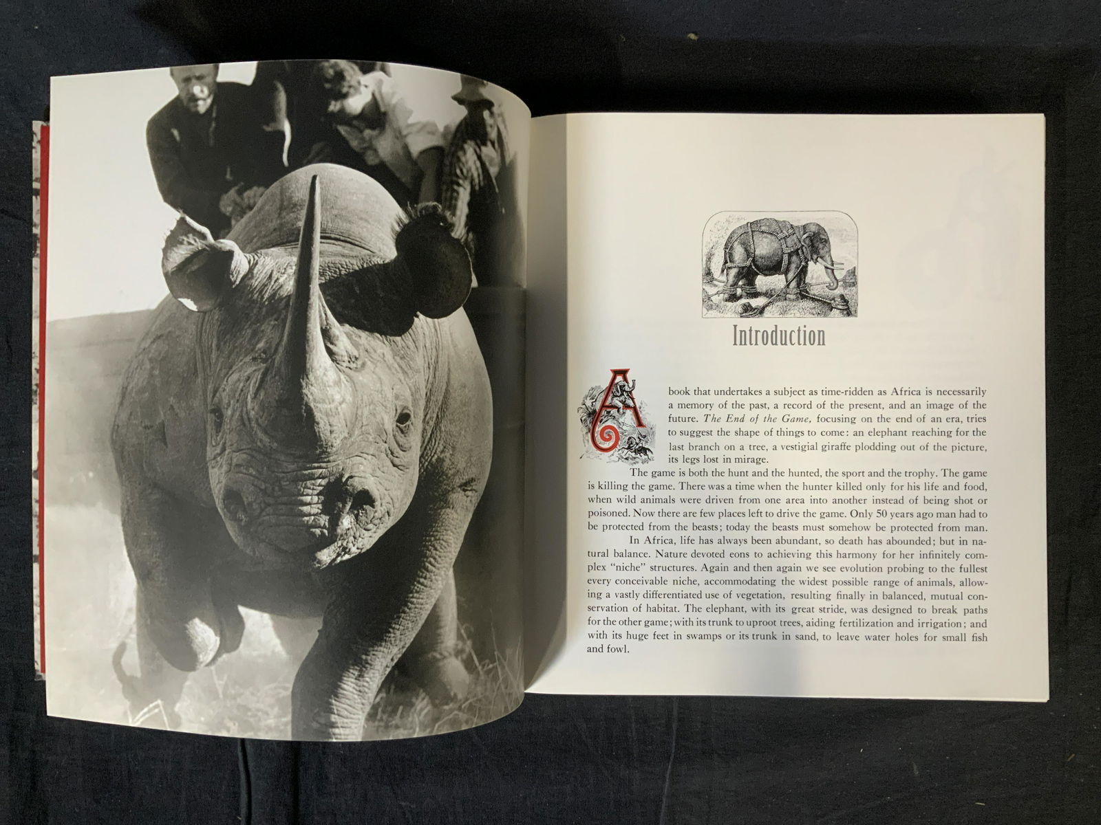 Peter Beard The End of the Game Book: Peter Beard The End of the Game Book, inscription to cover reads ‘Peter Beard The end of the game Taschen’, measures 11 x 9 7/8 inches, some wear to cover but overall in good condition, Peter bear