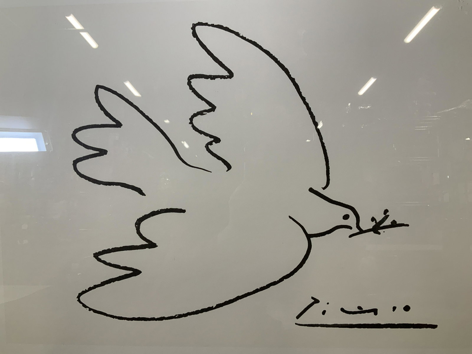 PABLO PICASSO Dove of Peace Lithograph: PABLO PICASSO Dove of Peace Lithograph, inscription to lower right reads ‘Picasso’, label to reverse reads ‘Rag Shop Professional custom framing’, subject a dove carrying an olive sprig, measu