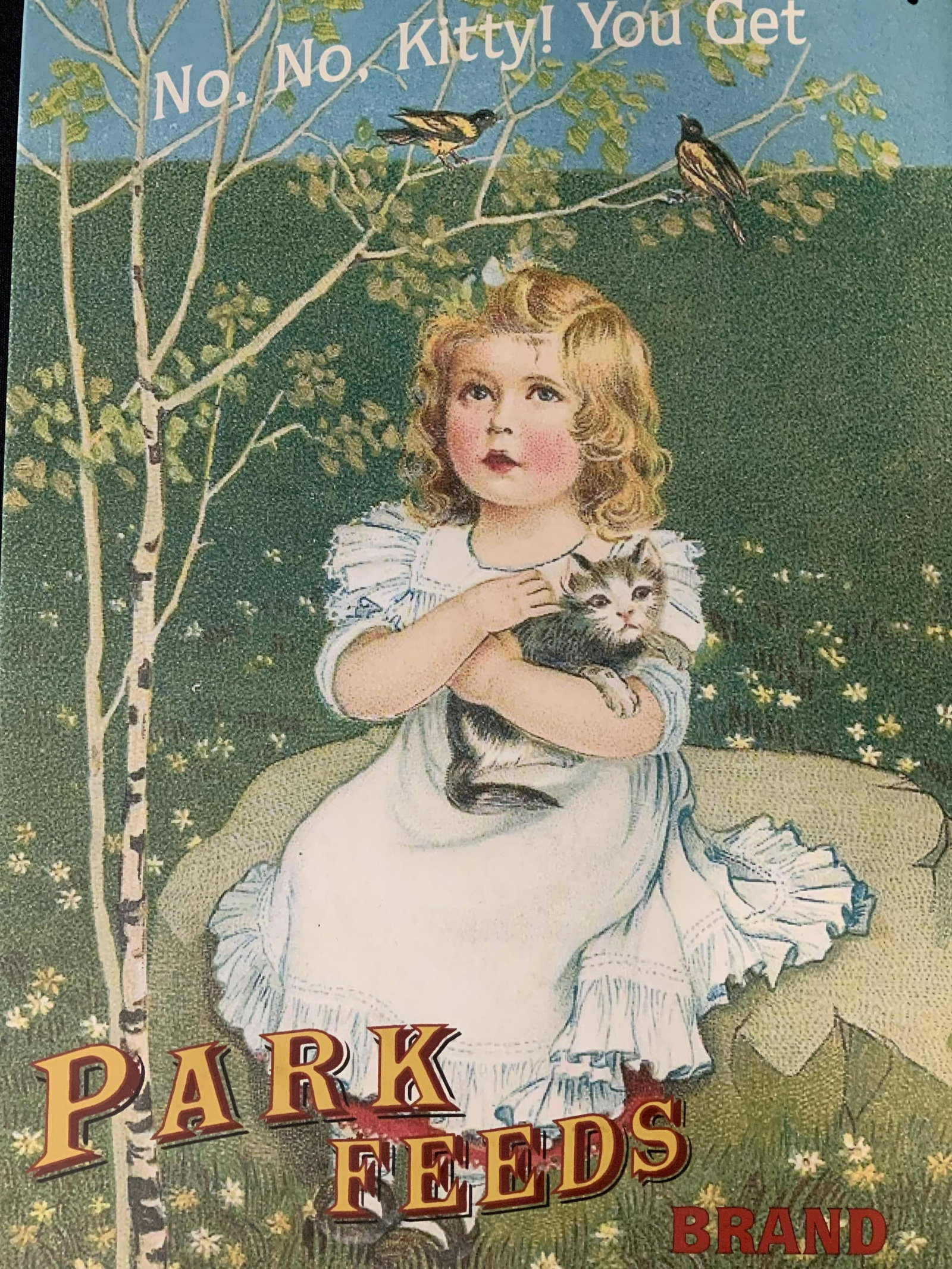 Park Feeds Brand Advertisement: Park Feeds Brand Advertisement on metal, inscription reads ‘No, No, kitty, You get Park Feeds Brand Kitten Chow’, subject a girl with a kitten, measures 16 1/8 x 10 inches, in good condition, Park