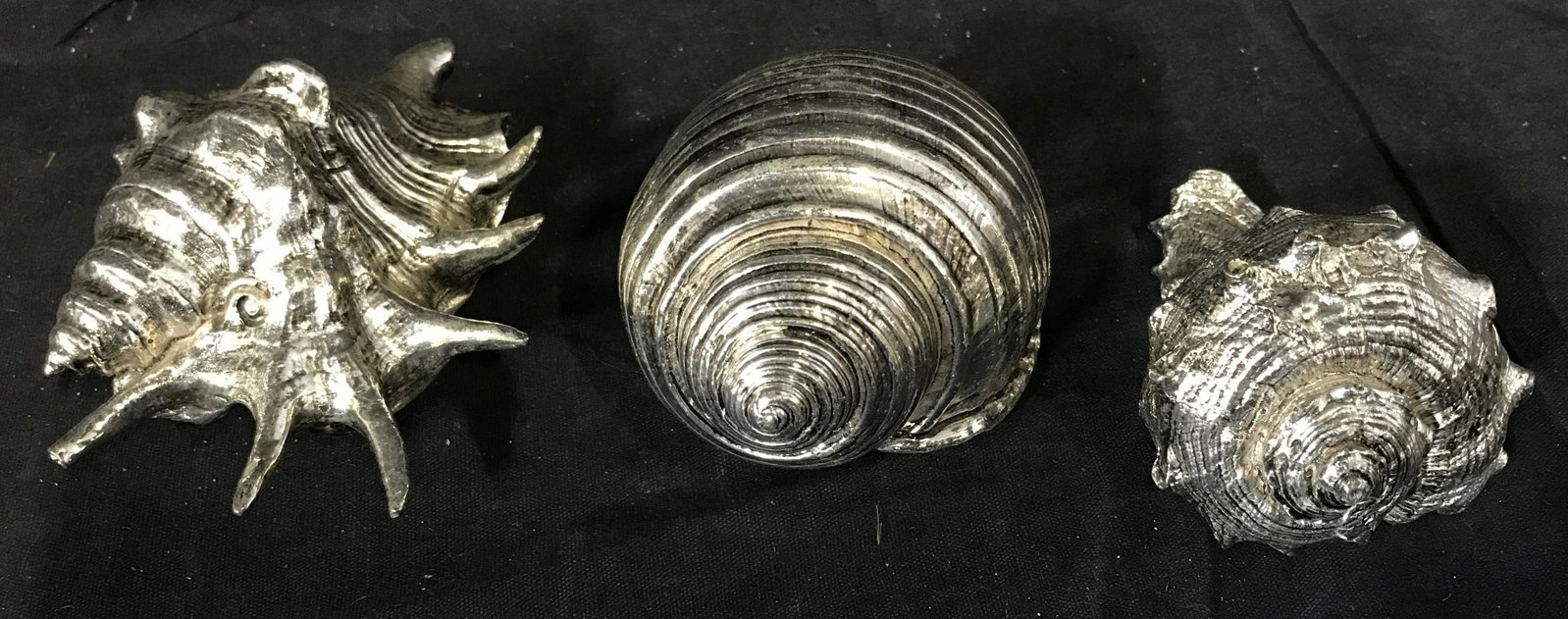 Group Lot 3 Silver Composite Seashells: Group lot 3 silver composite seashells, no apparent tags or labels, subject three distinct types of seashells casted out of a composite material and painted silver with black accents, largest of the t