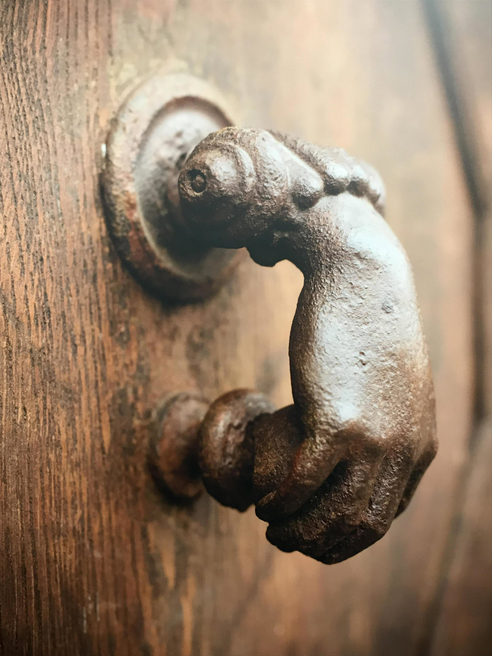 Photograph Printed on Wood of Hand Door Handle: Photograph printed on Wood of hand door handle, subject a photograph of a door handle shaped to appear as a hand reaching for a doorknob, measures 29.5 inches tall by 19.75 inches wide, not framed, ha