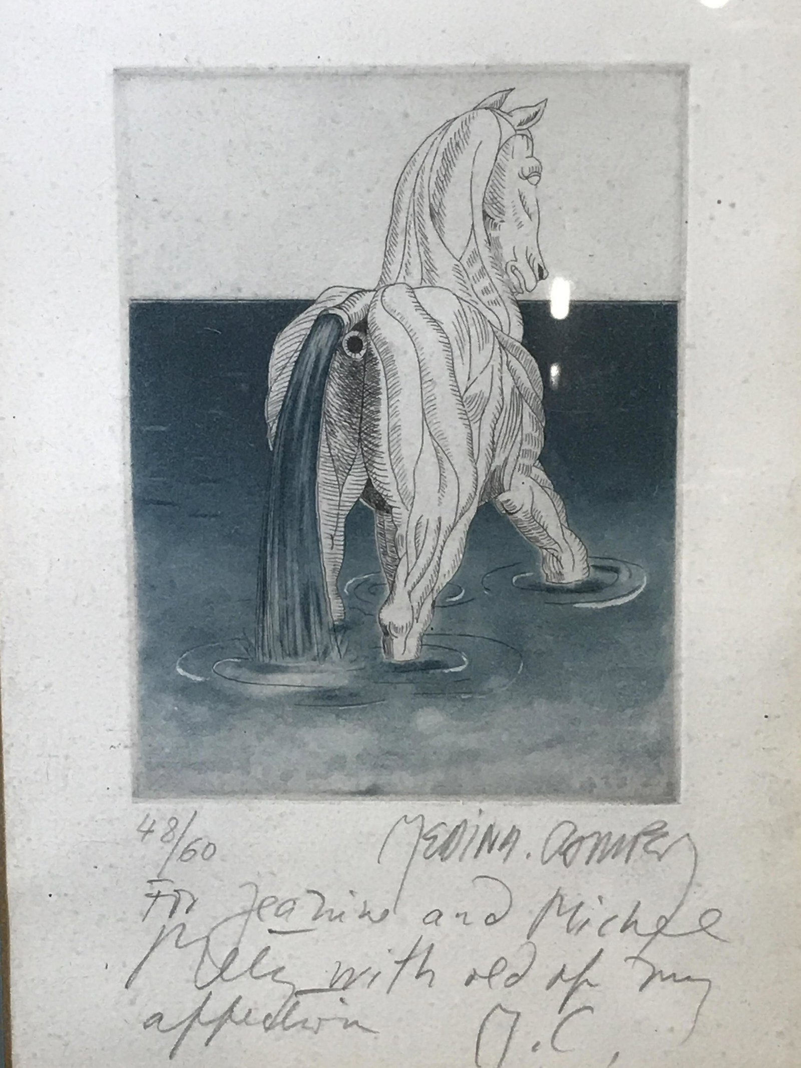 MEDINA CONNER Signed Ltd Ed Aquatint Horse: Medina Conner signed limited edition aquatint horse, signature to the lower right corner reads ‘Medina Conner’, edition to the lower left corner reads ‘48/60’, text to lower border reads ‘Fo