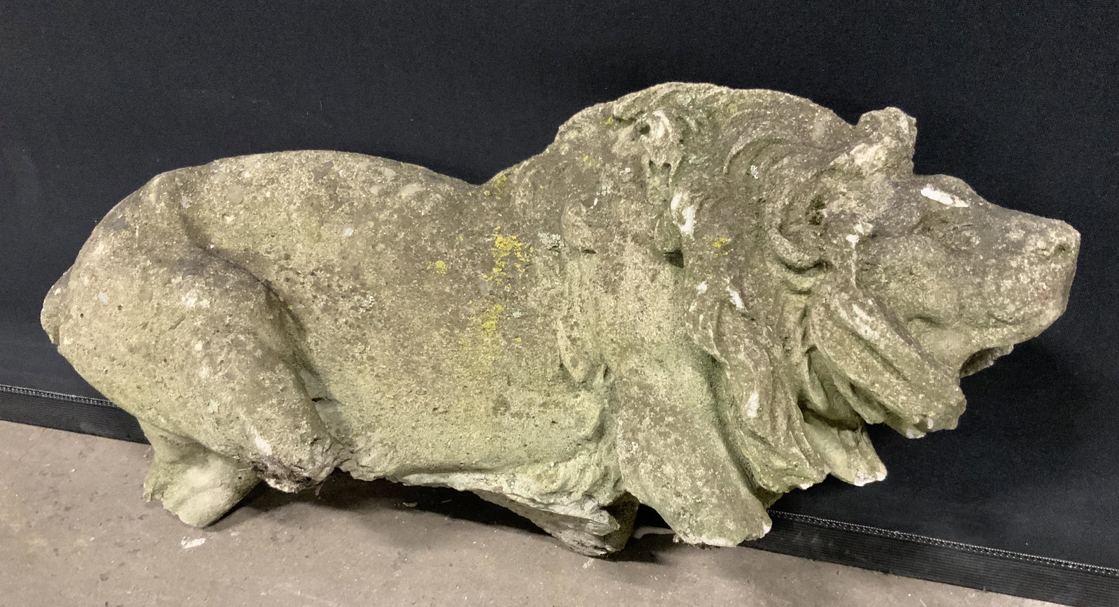 Vintage Stone Lion Garden Statue: Lawn ornament appears to be vintage & cement. Piece Depicts a lion Piece measures approximately 8 inches H, and 19.5 inches W. Loss present. Lawn ornament, cement cat, garden statue, outdoor decor, ca