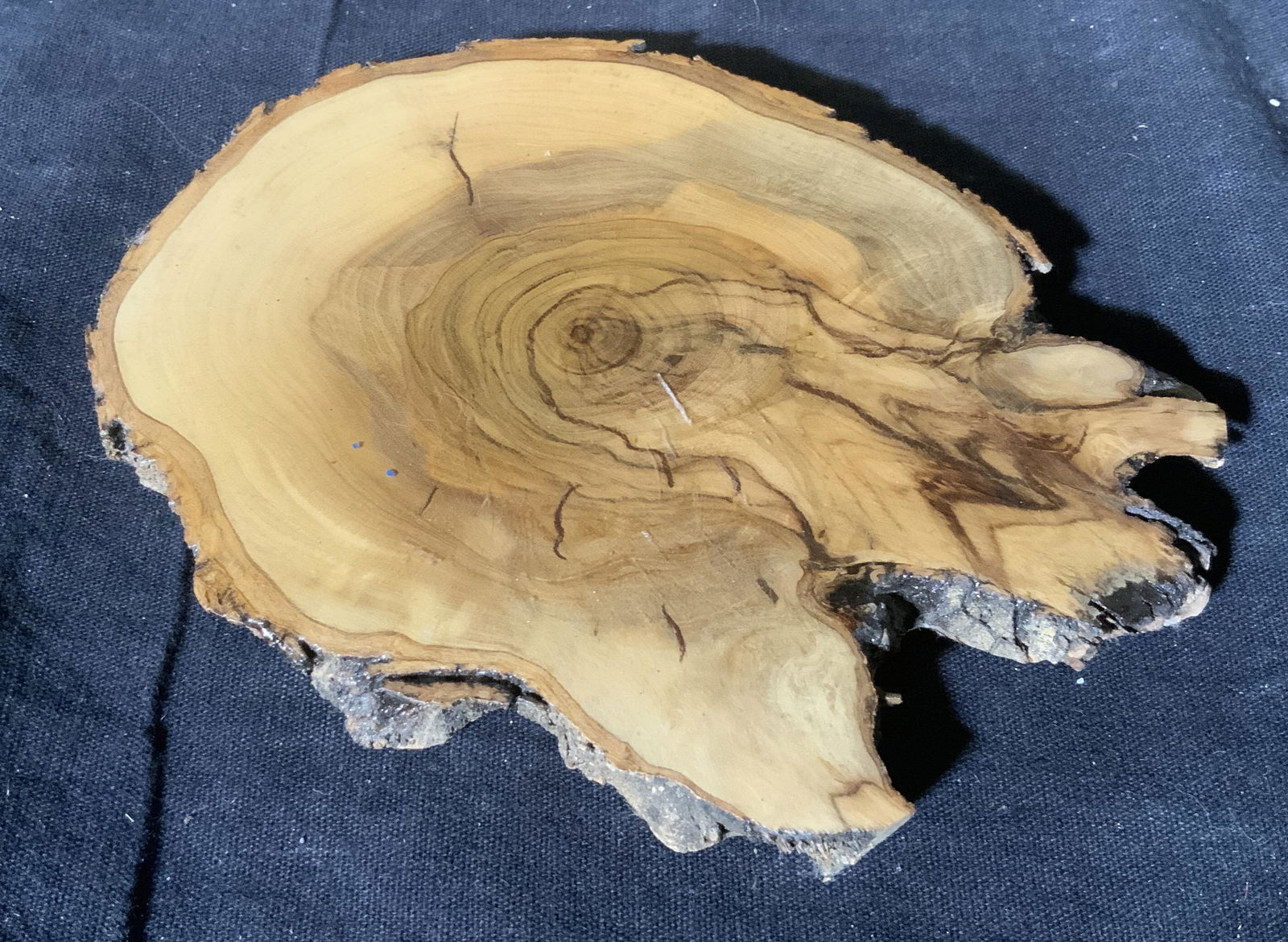 Pair Resined Wood Coasters: Pair resined wood coasters, each coaster is made from a slice of a tree trunk and then resined over for preservation, underside of both have velvet padding, larger of the two measures approximately 5.