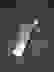 item-95055046=7