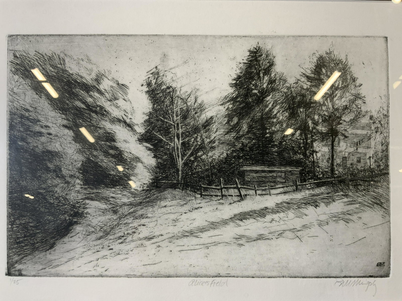 BILL MURPHY Signed Alice’s Field Etching Artwork: BILL MURPHY Signed Alice’s Field Etching, signature to lower right reads ‘Bill Murphy’, inscription reads ‘Alice’s Field’, edition to lower left reads ‘1/25’, subject a field with tree