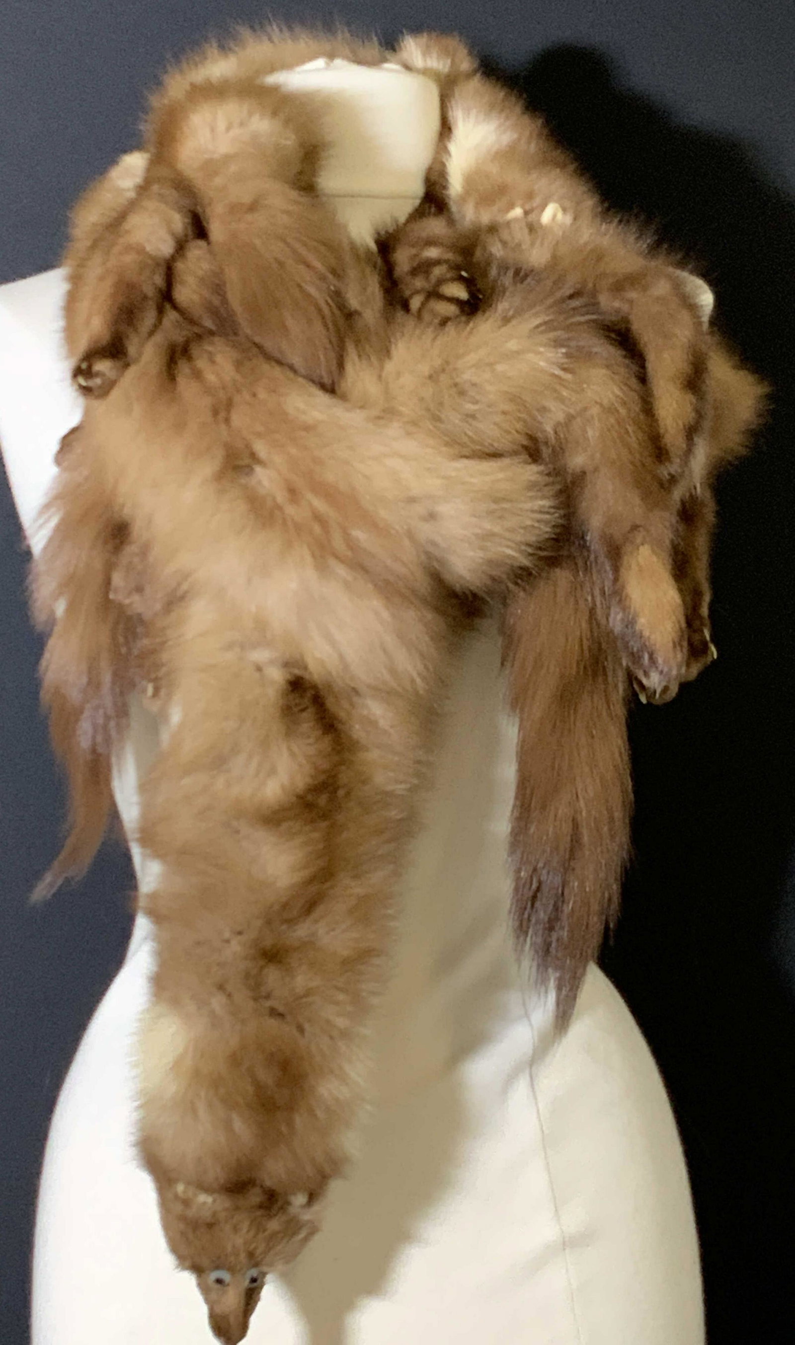 Vintage Stone Marten Fur Pelt Stole: Mid Century marten fur pelt with heads (4), claws, and tails. Eyes are man made additions. Brown stitched bobble attachment. Approx. 52 in. length. Stone marten, marten pelt, mid century marten, Vinta