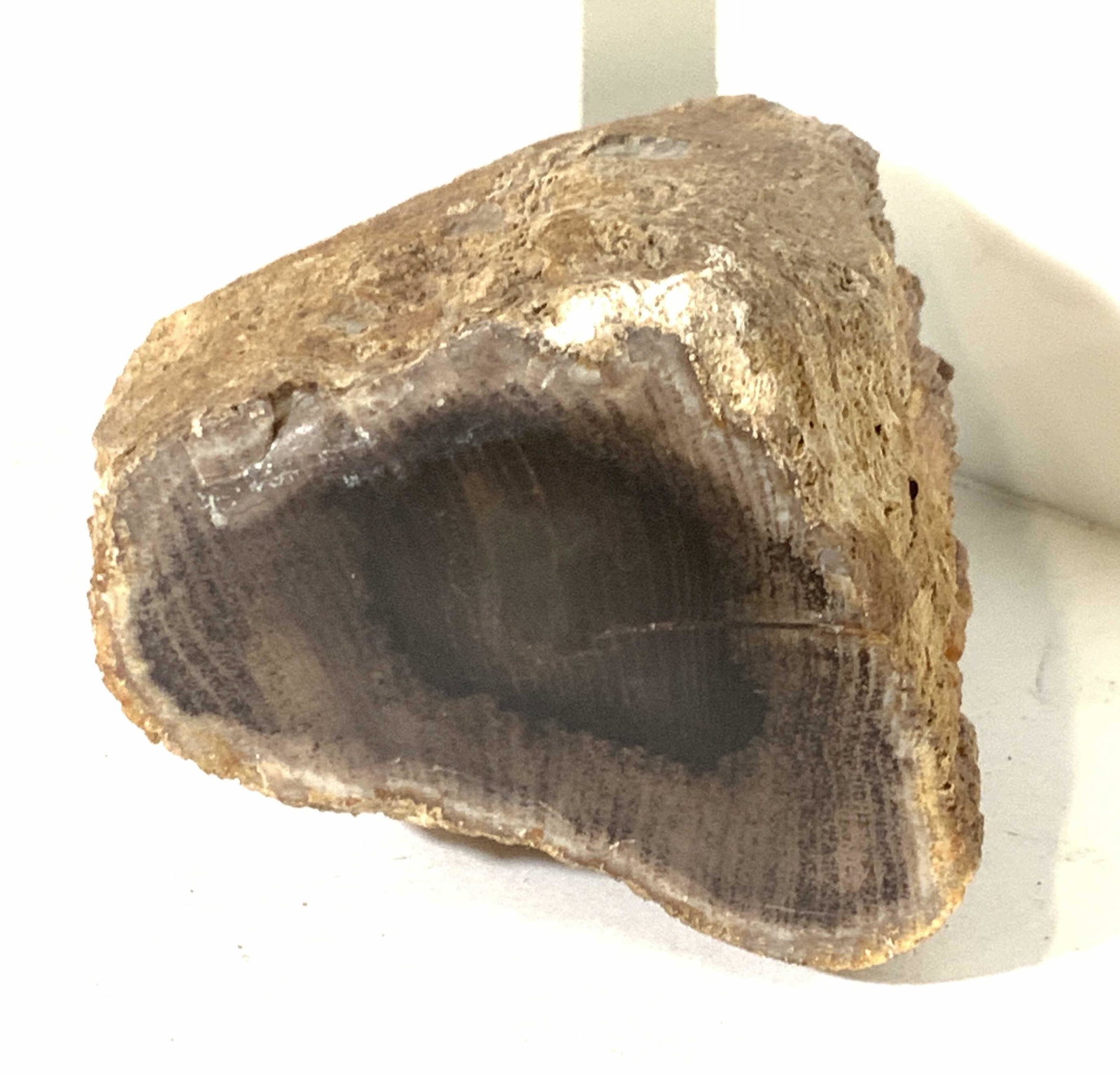 Polished Agate In Natural Rock Specimen: Natural rough rock with flattened and polished side showing agate quartz minerals. Measures , 4 in. Long, 2 in. Wide. Agate Rock paperweight, geology, rock collection, desktop novelty, rock, agate roc