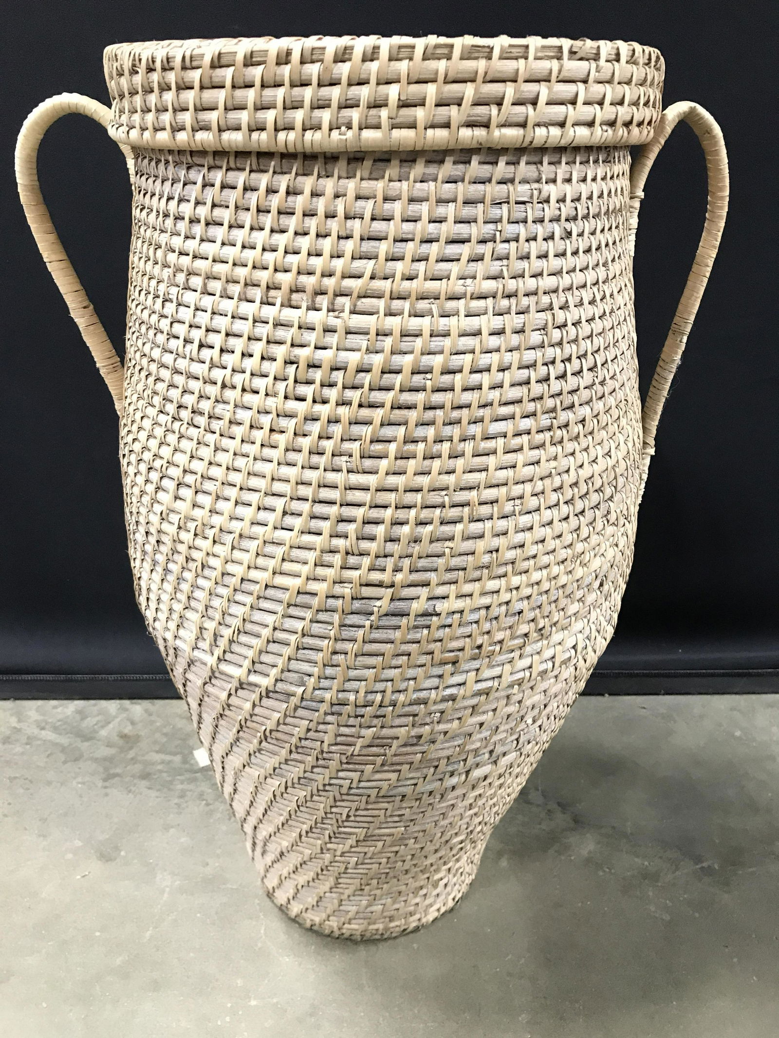 Lidded Woven La Jolla Basket W Lid: Basket is tan toned. Piece has woven structure. Piece includes lid & handles. Basket, lidded basket, handled basket, woven basket, home decor. planter, decorative arts, home accent, home furnishingsm