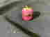 item-97468717=5