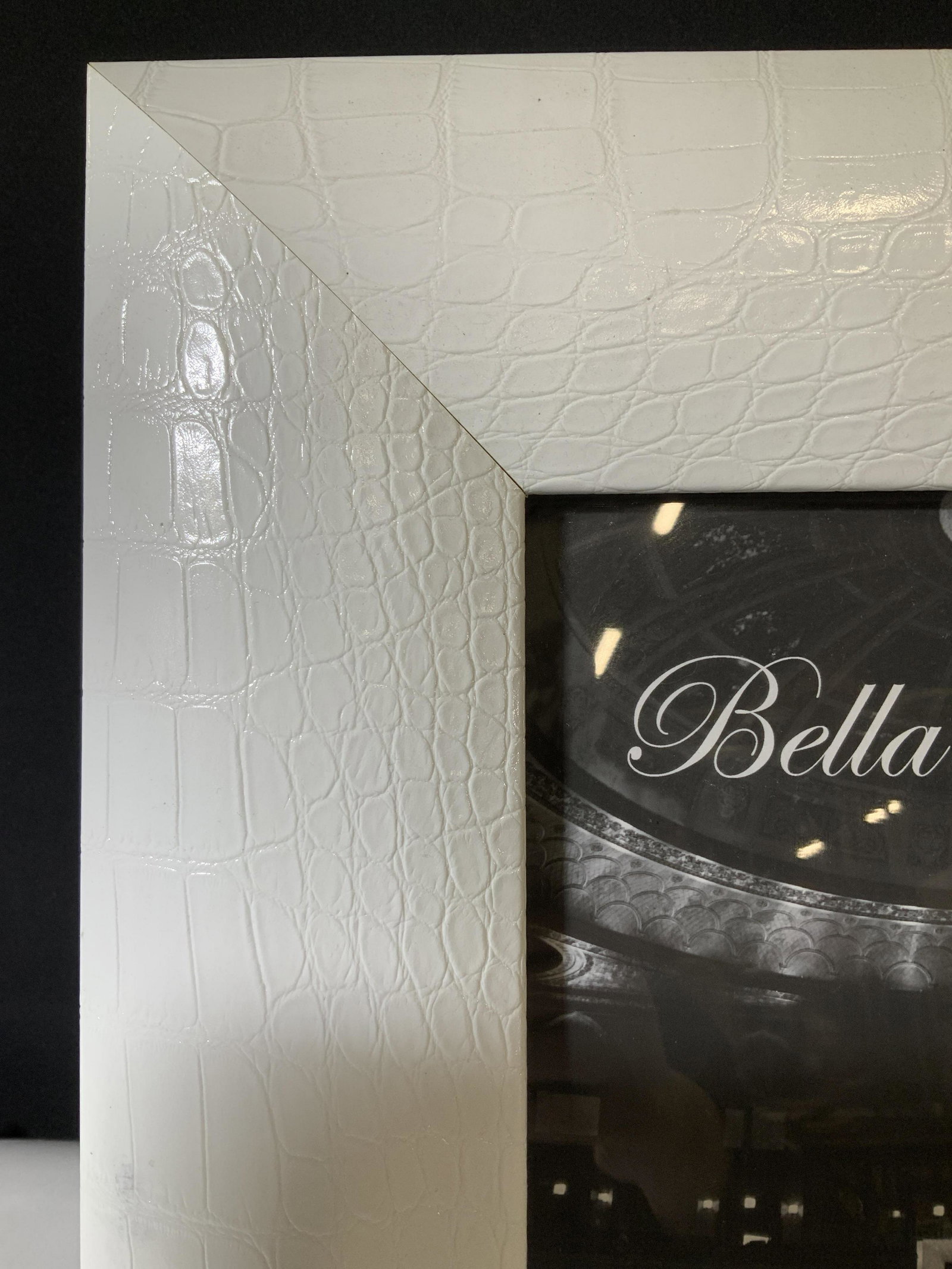 Lot Bella & Papyrus Home Decor Table Frames: White Reptile Leather ( possibly pvc) Frame with UV glass, archival foam core and board backing. Blue felt frame backing that fits inside bendable frame rivets. 8x10 photo. Overall sixe 14 x 16. Silve