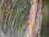 item-99139090=5
